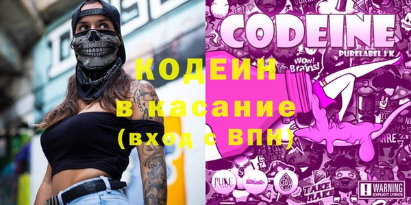 крисы Абаза