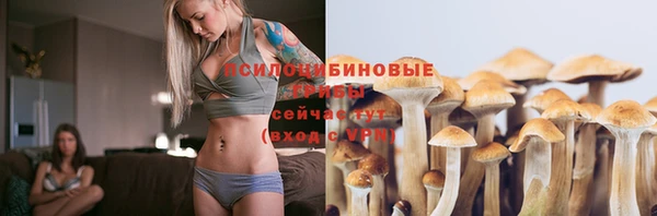 стафф Алзамай