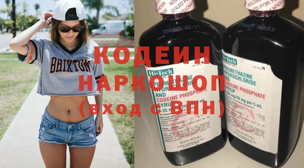 крисы Абаза