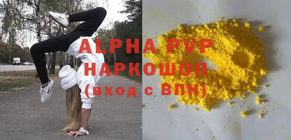 крисы Абаза