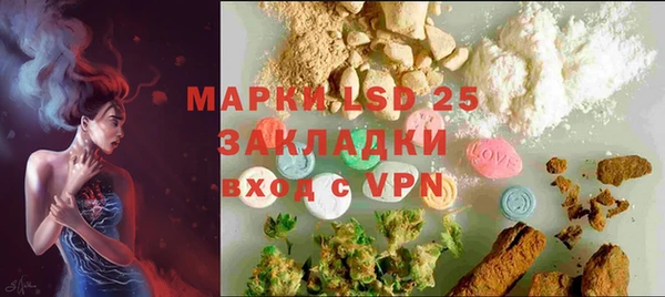 крисы Абаза