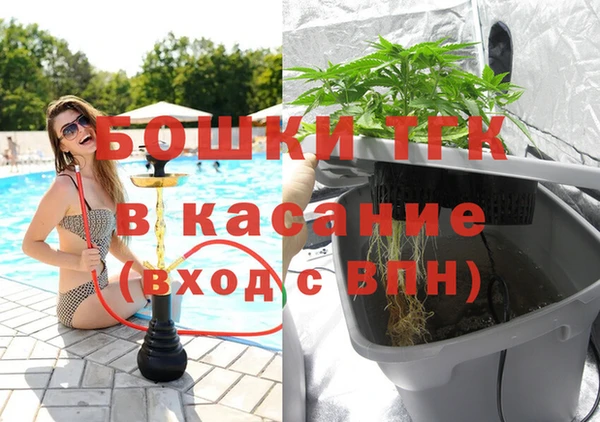 крисы Абаза