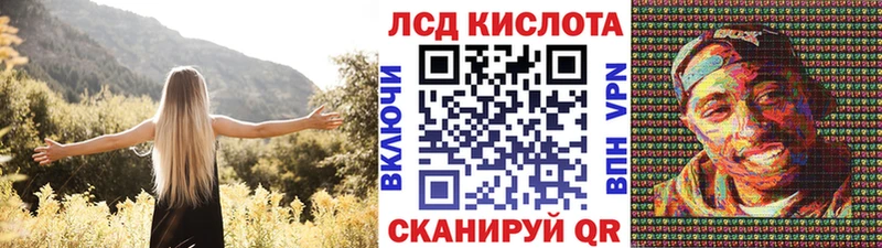 Марки NBOMe 1500мкг  где найти наркотики  Беломорск 