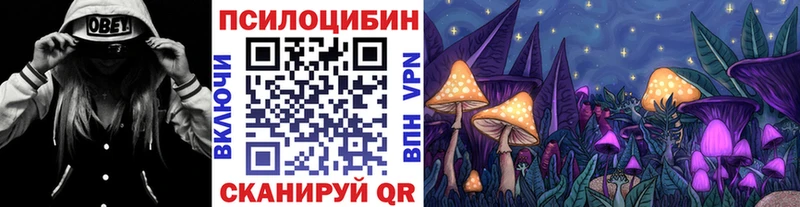 Псилоцибиновые грибы Psilocybine cubensis закладки Беломорск