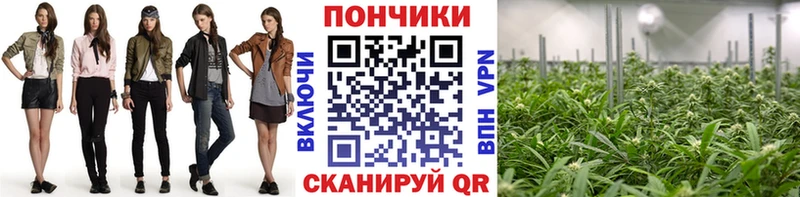 kraken маркетплейс  Беломорск  Бошки марихуана Ganja  наркотики 